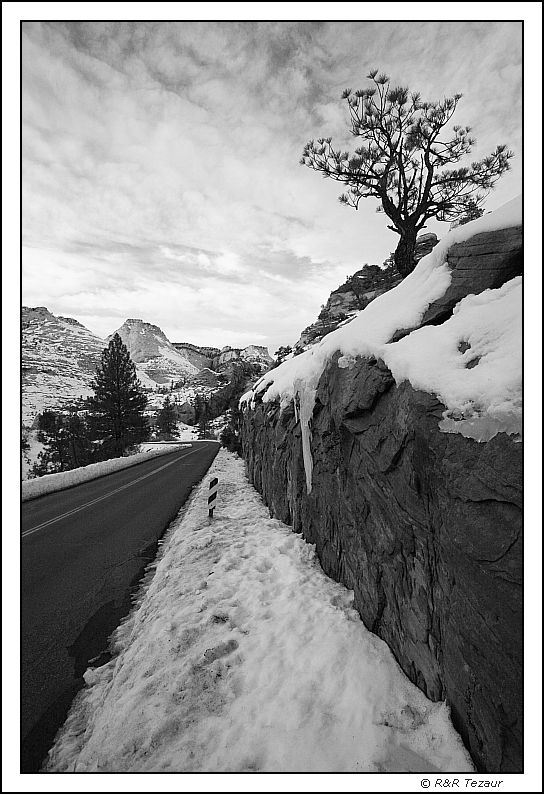 Mt Carmel road in BW